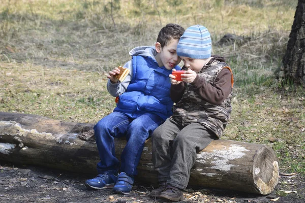 En el bosque, sentado en un tronco, dos niños, uno jugando con un a — Foto de Stock