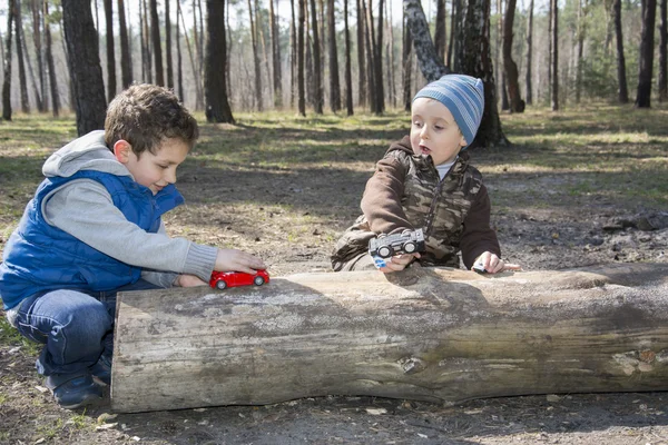 Im Wald, auf einem Baumstamm sitzend, zwei Jungen, einer spielt mit einem — Stockfoto