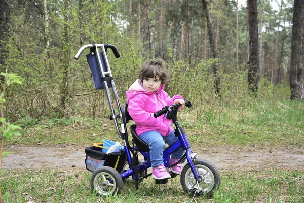 小さな女の子が森の中で自転車に乗る. — ストック写真