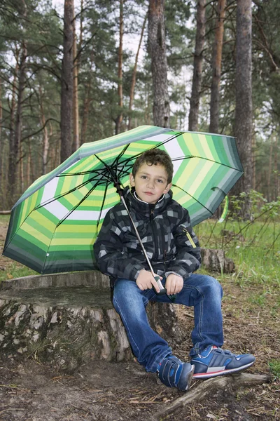 Frühling im Wald auf einem Baumstumpf sitzt ein Junge unter einem Regenschirm. — Stockfoto