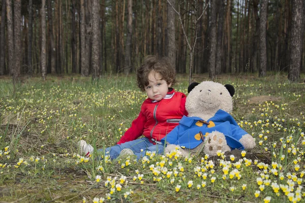 Holčička s medvědem v lese sedí na louce květ. — Stock fotografie