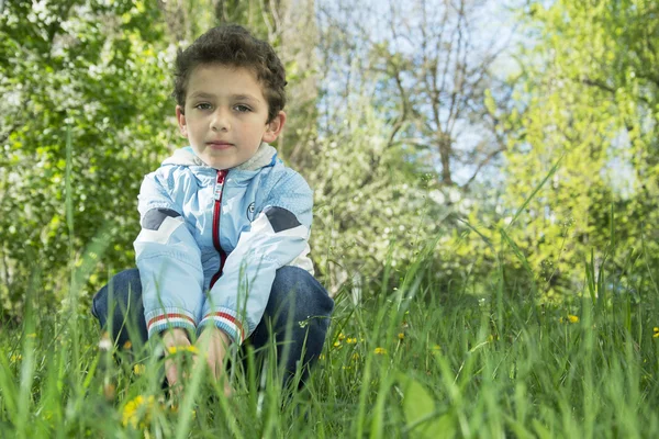 Frühling sitzt auf dem Gras und Löwenzahn niedlichen Jungen. — Stockfoto