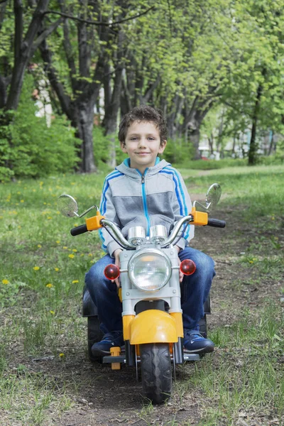 Na jaře na na mýtině kde jsou pampelišky na — Stock fotografie