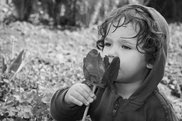 Foto in bianco e nero. Bambina che annusa un tulipano primaverile . — Foto Stock