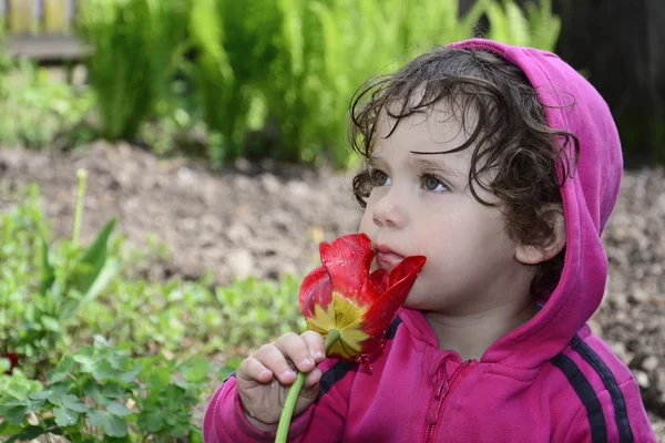 Malá holčička vonící jarní Tulipán. — Stock fotografie