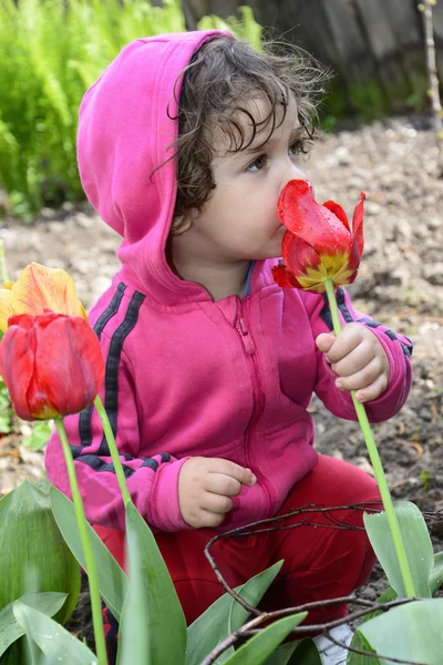 Petite fille sentant une tulipe de printemps . — Photo