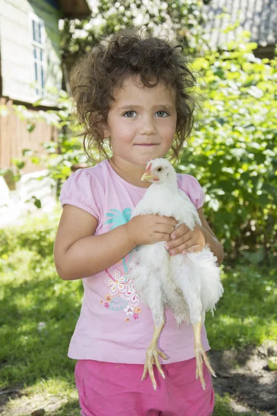 Klein meisje in de zomer in de tuin een kip houden. — Stockfoto
