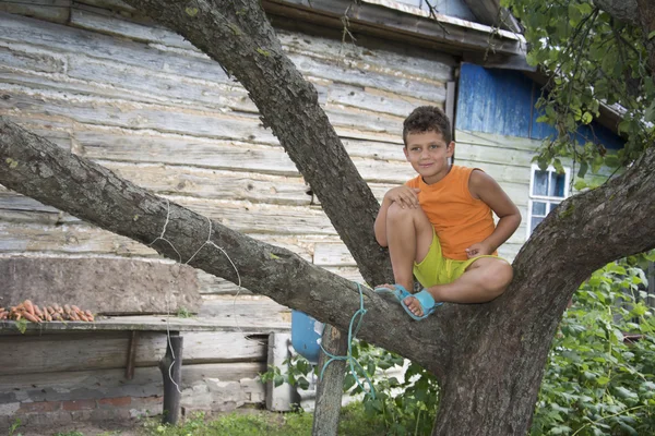 Im Sommer sitzt der Dorfjunge auf einem Baum. — Stockfoto