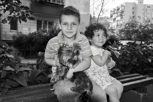 Little boy and girl sitting on a bench and holding a dog in her — Stock Photo, Image