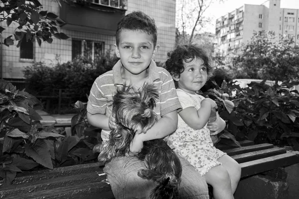 Kleine jongen en meisje, zittend op een bankje en houden van een hond in haar Rechtenvrije Stockfoto's