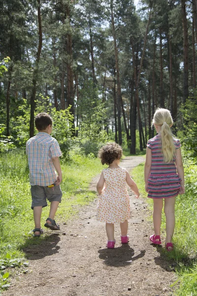 En verano, los niños van al bosque por un sendero . —  Fotos de Stock