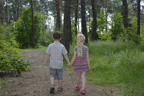 No verão, as crianças vão para a floresta em um caminho . — Fotografia de Stock