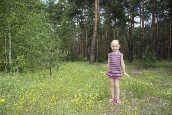 På sommaren, en liten flicka står i skogen på en blomma meado — Stockfoto