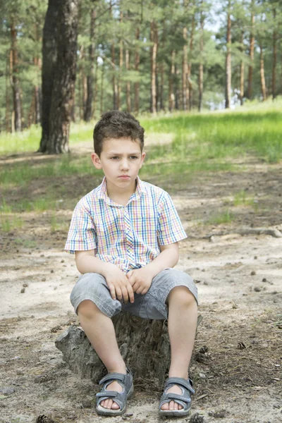 Nyáron egy fenyves erdő egy fatönkön ül a szomorú fiú. — Stock Fotó
