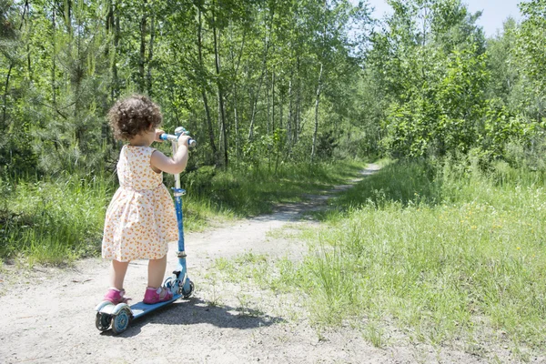 Na floresta de vidoeiro de verão pequena menina encaracolada montando uma scooter . — Fotografia de Stock