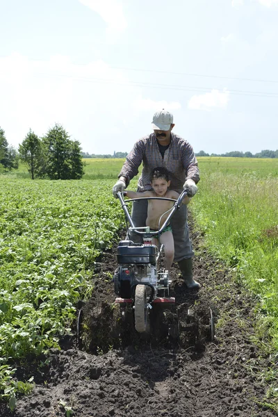 Au printemps du père et du fils labourant la terre dans le jardin — Photo