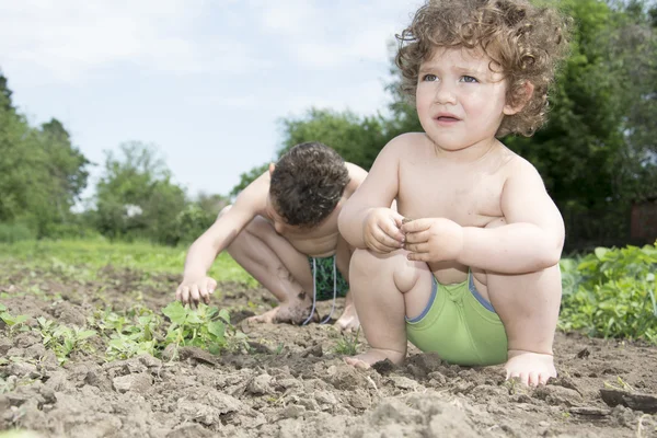 Summer curly children brother and sister work in the garden digg — Stock Photo, Image