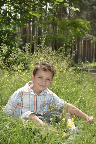 Summer boy sitting in a pine forest near the yellow flowers. — Stock Photo, Image