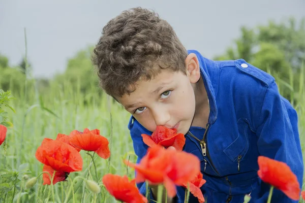 Im Sommer auf dem lockigen Jungen, der Mohn schnüffelt. — Stockfoto