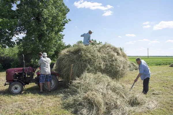 Hay. In the summer on the man with a child sitting on the tracto — Stock Photo, Image