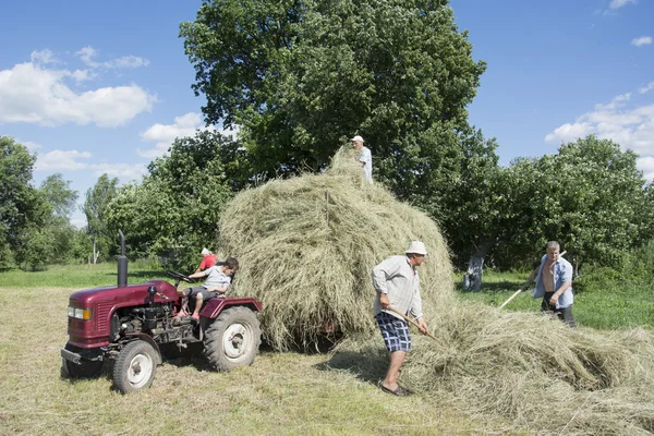 En el verano en los hombres quitaron el heno del campo y la placa — Foto de Stock