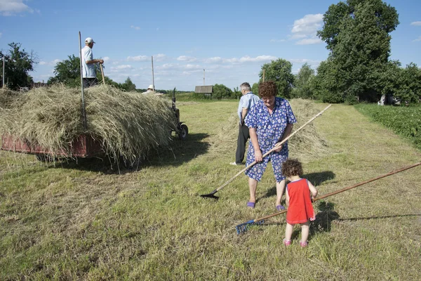 V létě kudrnatá holčička pomáhá dospělým hrabání sena a položila ji na — Stock fotografie