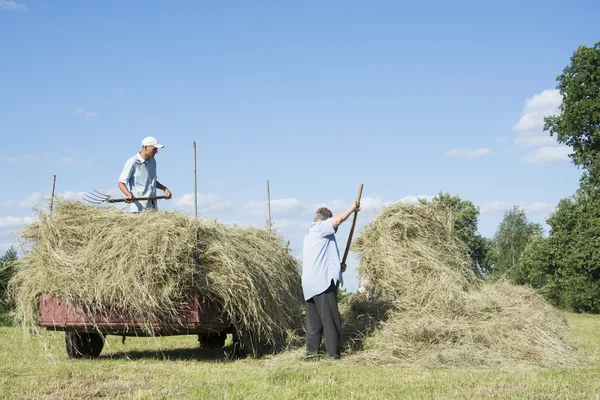 En el verano en los hombres quitaron el heno del campo y la placa — Foto de Stock