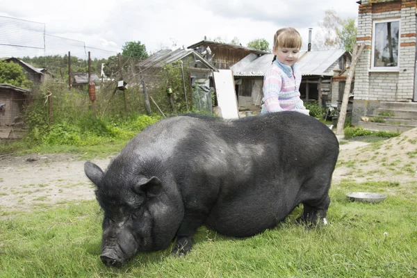 V létě na nádvoří holčička stojí poblíž pí — Stock fotografie