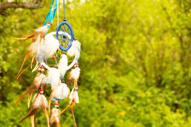 Gün batımında fotokopi alanı, sembol, gelenek ve işaretlerle düş kapanı. Boho stil yakalayıcıları rüzgarda gelişir, fotokopi alanı, sembolü, geleneği, işaretleri olan bitkilerin bulanık yeşil arka planına karşı. boho tarzı.