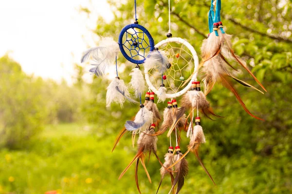 Gün batımında fotokopi alanı, sembol, gelenek ve işaretlerle düş kapanı. Boho stil yakalayıcıları rüzgarda gelişir, fotokopi alanı, sembolü, geleneği, işaretleri olan bitkilerin bulanık yeşil arka planına karşı. boho tarzı.