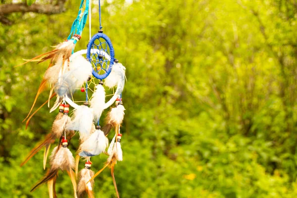 Gün batımında fotokopi alanı, sembol, gelenek ve işaretlerle düş kapanı. Boho stil yakalayıcıları rüzgarda gelişir, fotokopi alanı, sembolü, geleneği, işaretleri olan bitkilerin bulanık yeşil arka planına karşı. boho tarzı.