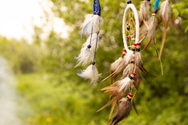 Gün batımında fotokopi alanı, sembol, gelenek ve işaretlerle düş kapanı. Boho stil yakalayıcıları rüzgarda gelişir, fotokopi alanı, sembolü, geleneği, işaretleri olan bitkilerin bulanık yeşil arka planına karşı. boho tarzı.