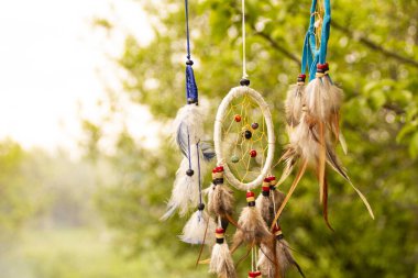 Rüya yakalayıcılar rüzgarda, bitkilerin bulanık yeşil arka planlarına karşı fotokopi alanı, sembol, gelenek ve işaretlerle evrim geçirirler. boho tarzı
