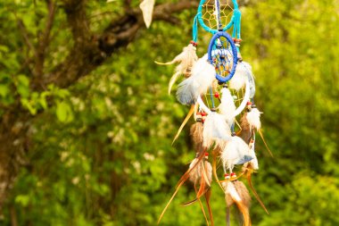 Rüya yakalayıcılar rüzgarda, bitkilerin bulanık yeşil arka planlarına karşı fotokopi alanı, sembol, gelenek ve işaretlerle evrim geçirirler. boho tarzı
