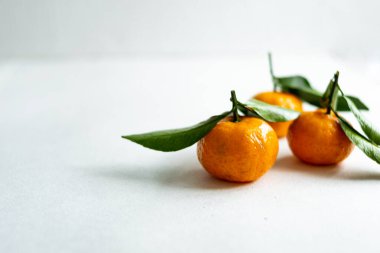 Hafif arka planda yaprakları olan üç olgun mandalina. Boşluğu kopyala.