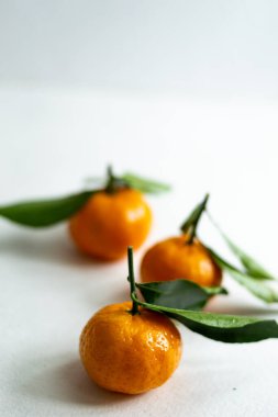 Hafif arka planda yaprakları olan üç olgun mandalina. Boşluğu kopyala.