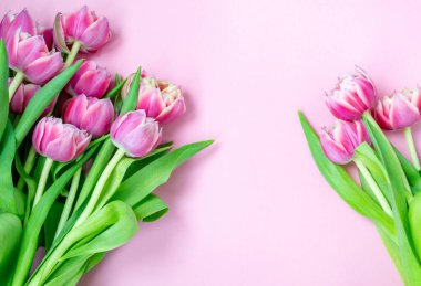 Pembe arka planda pembe laleler. Düz yerde, üst tarafta. Sevgililer Günü. Bahar havası. Yatay, boşluğu kopyala