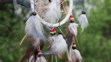 Çok renkli tüyleri olan bir düş kapanı doğanın bulanık yeşilliğine karşı rüzgarda çırpınır. Rahatla konsept