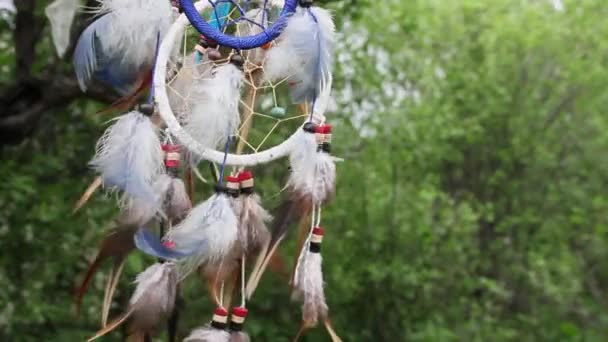 Attrape Rêves Aux Plumes Multicolores Flotte Dans Vent Sur Fond — Video