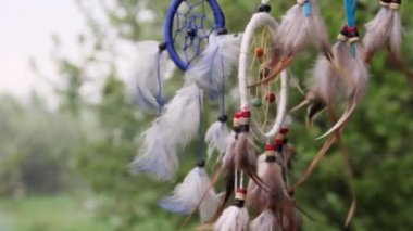 Çok renkli tüyleri olan bir düş kapanı doğanın bulanık yeşilliğine karşı rüzgarda çırpınır. Rahatla konsept.