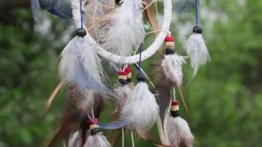 Çok renkli tüyleri olan bir düş kapanı doğanın bulanık yeşilliğine karşı rüzgarda çırpınır. Rahatla konsept.