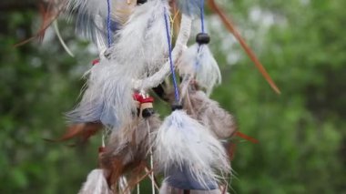 Çok renkli tüyleri olan bir düş kapanı doğanın bulanık yeşilliğine karşı rüzgarda çırpınır. Rahatla konsept.