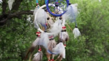 Çok renkli tüyleri olan bir düş kapanı doğanın bulanık yeşilliğine karşı rüzgarda çırpınır. Rahatla konsept.