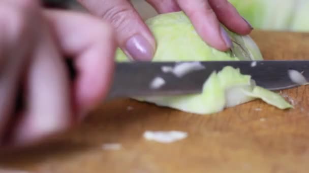 Ręka Kobiety Tnie Kapustę Nożem Gotowanie Żywności Zbliżenie — Wideo stockowe