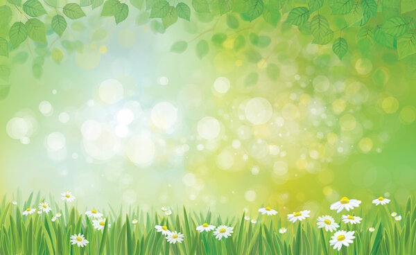 leaves border and grass with chamomiles