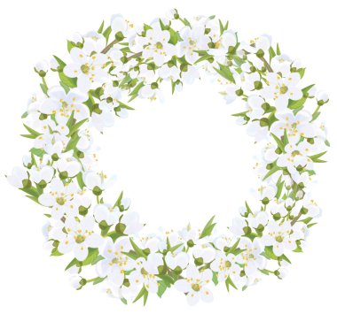 Çiçek açması dalları ile çerçeve çiçek 