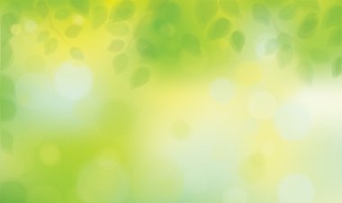 Güneş zemin üzerine yeşil yaprakları