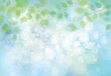 güneş ışığı yeşil yapraklarda