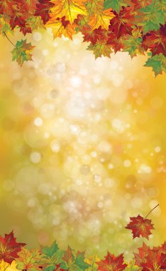 bokeh arka planda sonbahar yaprakları.