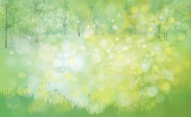 Ormanlı yaz manzarası